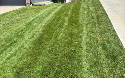 Photo of Stacey G.'s yard after getting lawn care in Atlanta, GA