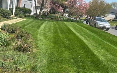 Photo of Matthew S.'s yard after getting lawn care in Lititz, PA
