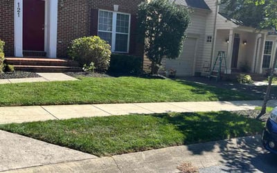 Photo of Carlos L.'s yard after getting lawn care in Gaithersburg, MD