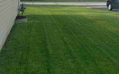 Photo of Bill R.'s yard after getting lawn care in Lombard, IL