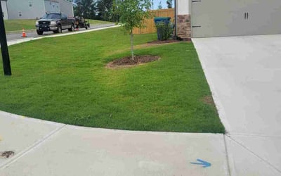 Photo of Donna K.'s yard after getting lawn care in Fairburn, GA