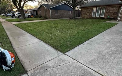 Photo of Jason C.'s yard after getting lawn care in Eureka, CA