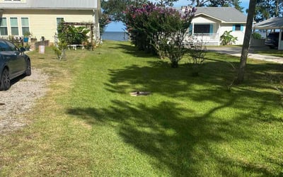 Photo of Traci T.'s yard after getting lawn care in Saraland, AL