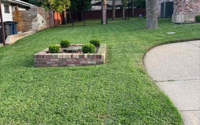 Photo of Edward W.'s yard after getting lawn care in Fort Worth, TX