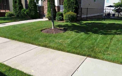 Photo of Courtney D.'s yard after getting lawn care in Aylett, VA