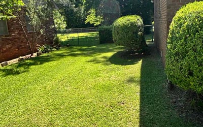 Photo of Jeannette L.'s yard after getting lawn care in Ruther Glen, VA