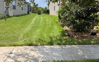 Photo of Renona P.'s yard after getting lawn care in Dorchester, MA