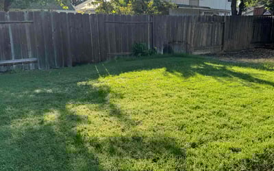 Photo of Melanie P.'s yard after getting lawn care in Merced, CA