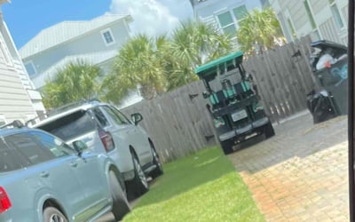 Photo of Paige G.'s yard after getting lawn care in Temple City, CA