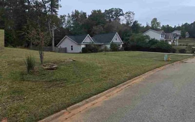Photo of Laura B.'s yard after getting lawn care in Hartford, WI
