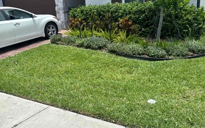 Photo of Lampross A.'s yard after getting lawn care in Warren, MI