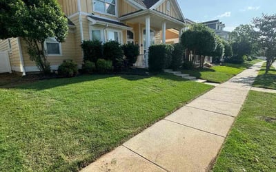 Photo of Ryan T.'s yard after getting lawn care in Oroville, CA