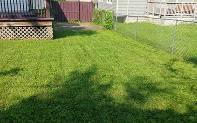 Photo of John C.'s yard after getting lawn care in Brooklyn, MD