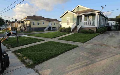 Photo of Mason W.'s yard after getting lawn care in Mandeville, LA