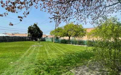 Photo of Daniel W.'s yard after getting lawn care in Niles, IL