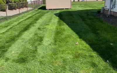 Photo of Thomas J.'s yard after getting lawn care in North Canton, OH