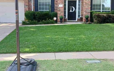 Photo of Shad L.'s yard after getting lawn care in Wilsonville, OR