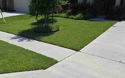 Photo of Jennifer P.'s yard after getting lawn care in Missoula, MT