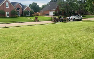 Photo of Kelvin P.'s yard after getting lawn care in Collierville, TN