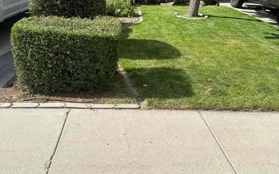 Photo of Karen S.'s yard after getting lawn care in Coeur D Alene, ID