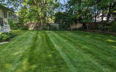 Photo of Rondi T.'s yard after getting lawn care in Flint, MI