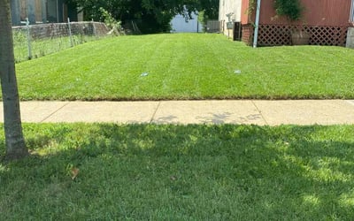 Photo of Marvin M.'s yard after getting lawn care in Baltimore, MD