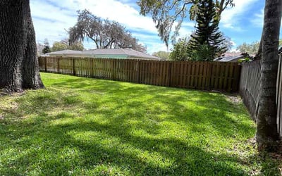 Photo of Wendy H.'s yard after getting lawn care in Tampa, FL