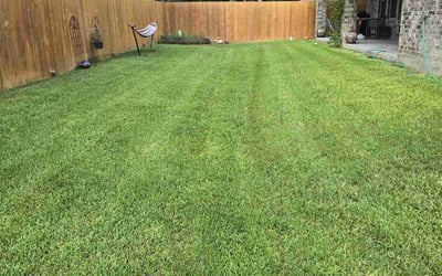 Photo of Thomas G.'s yard after getting lawn care in Abilene, TX