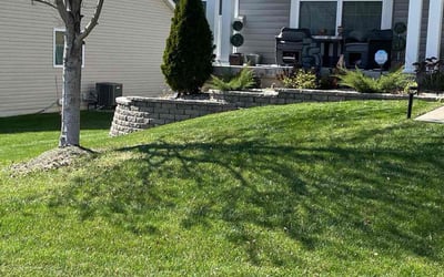 Photo of Deirdra C.'s yard after getting lawn care in Dolton, IL