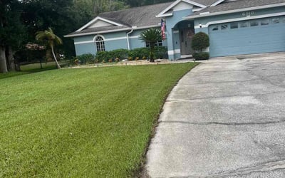 Photo of Brandon B.'s yard after getting lawn care in Carrollwood, FL