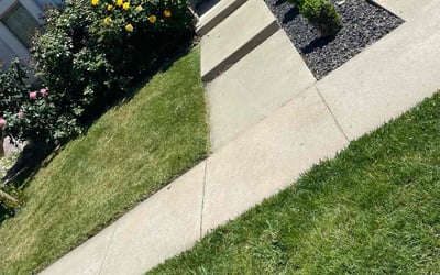 Photo of Michael T.'s yard after getting lawn care in Lincoln, CA