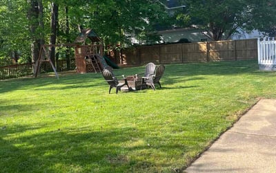 Photo of Letchas c.'s yard after getting lawn care in Virginia Beach, VA