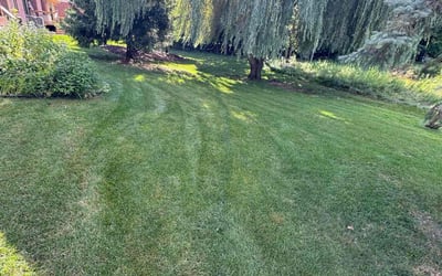 Photo of Jay B.'s yard after getting lawn care in Novi, MI