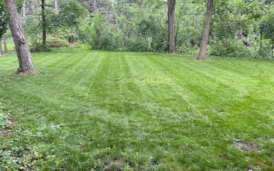 Photo of Patrick L.'s yard after getting lawn care in Sealy, TX