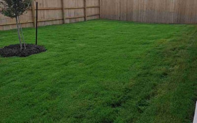 Photo of Scott S.'s yard after getting lawn care in Killeen, TX