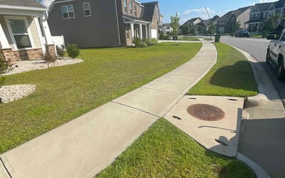 Photo of Vincent M.'s yard after getting lawn care in Blythewood, SC