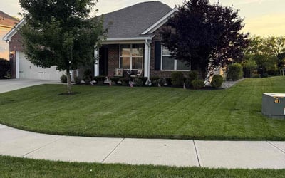 Photo of Jesse E.'s yard after getting lawn care in Orange, TX