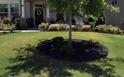Photo of Leann J.'s yard after getting lawn care in Clayton, NC