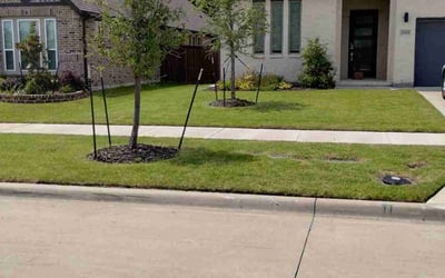 Photo of Ashley M.'s yard after getting lawn care in Corinth, TX