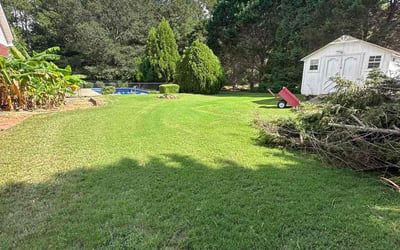 Photo of David T.'s yard after getting lawn care in Brookhaven, GA