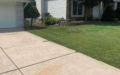 Photo of Cynthia W.'s yard after getting lawn care in Chesterfield, MO