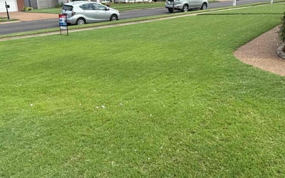 Photo of Monica M.'s yard after getting lawn care in Arlington, TN