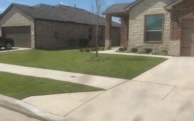 Photo of Marggi M.'s yard after getting lawn care in Castro Valley, CA