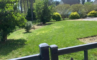 Photo of Jacqui C.'s yard after getting lawn care in Smithfield, VA