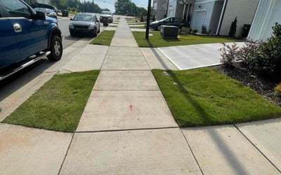 Photo of Diana G.'s yard after getting lawn care in Media, PA