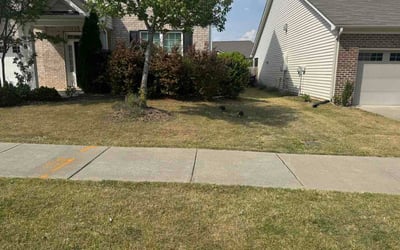 Photo of Ben F.'s yard after getting lawn care in Austin, TX