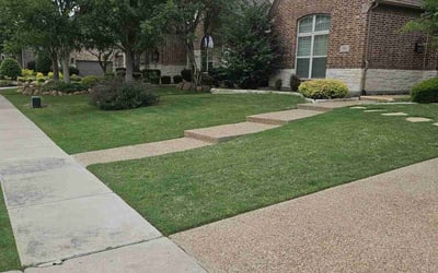 Photo of Leshwan R.'s yard after getting lawn care in Allen, TX