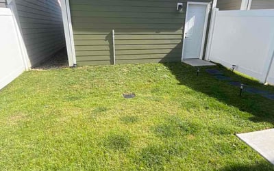 Photo of Dorothy G.'s yard after getting lawn care in Brooklyn Park, MN