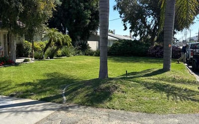 Photo of Cody R.'s yard after getting lawn care in Thermal, CA