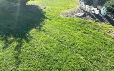 Photo of Nayana R.'s yard after getting lawn care in Rochester Hills, MI